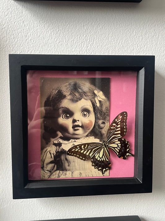 Asian Swallowtail with Creepy Doll